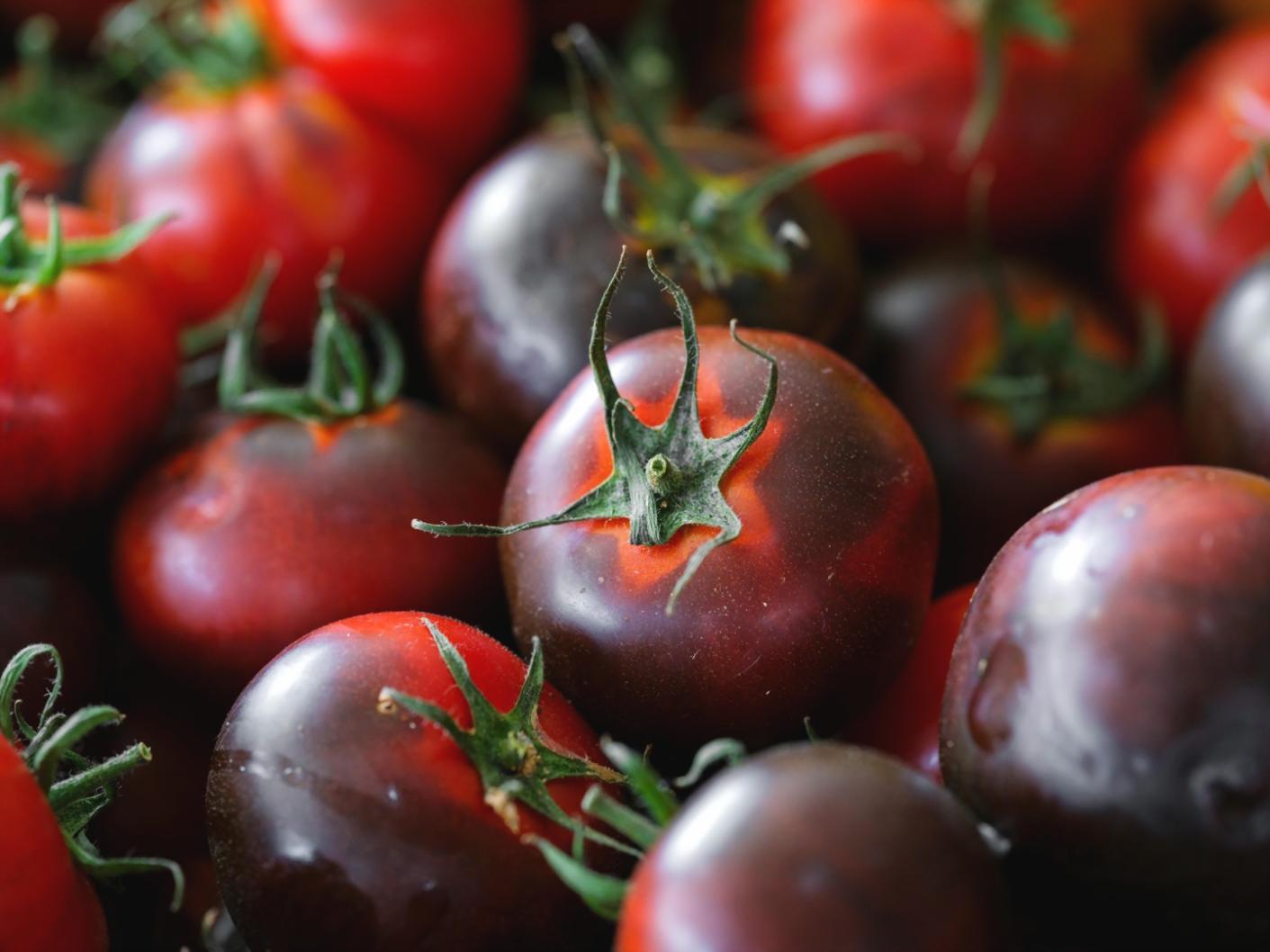 Процесс обучения под руководством опытного наставника